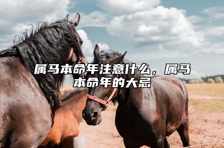 属马本命年注意什么，属马本命年的大忌 属马的本命年要注意什么