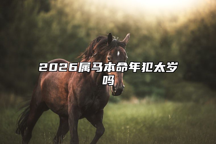 2026属马本命年犯太岁吗 2026年属马犯太岁其它生肖