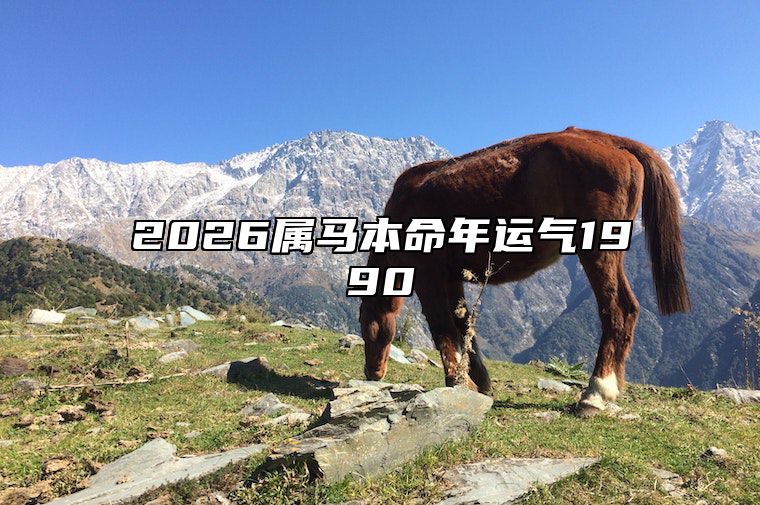 2026属马本命年运气1990 202几年属马本命年