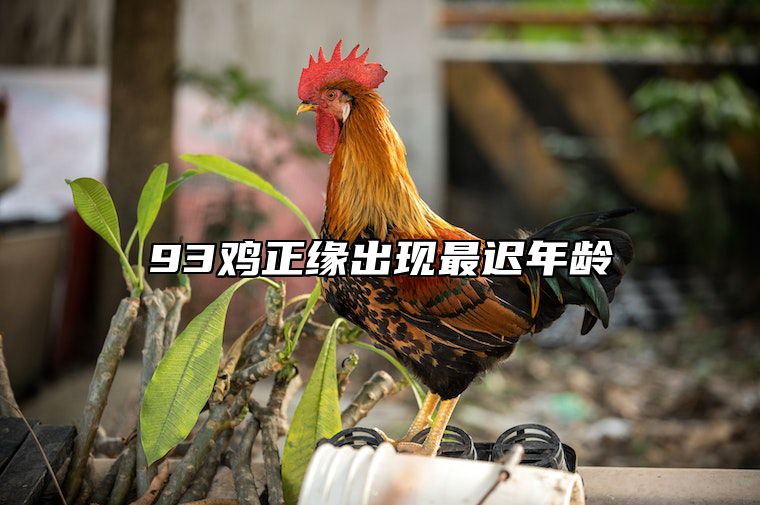 93鸡正缘出现最迟年龄 93年属鸡必二婚最终归宿