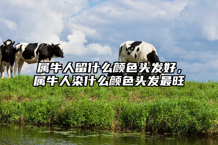 属牛人留什么颜色头发好，属牛人染什么颜色头发最旺 属牛女染什么颜色头发
