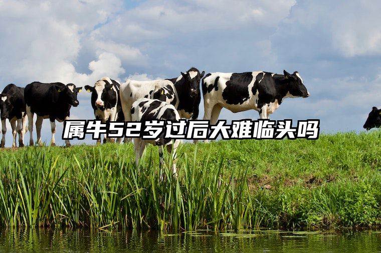 属牛52岁过后大难临头吗 73年属牛人晚年运势