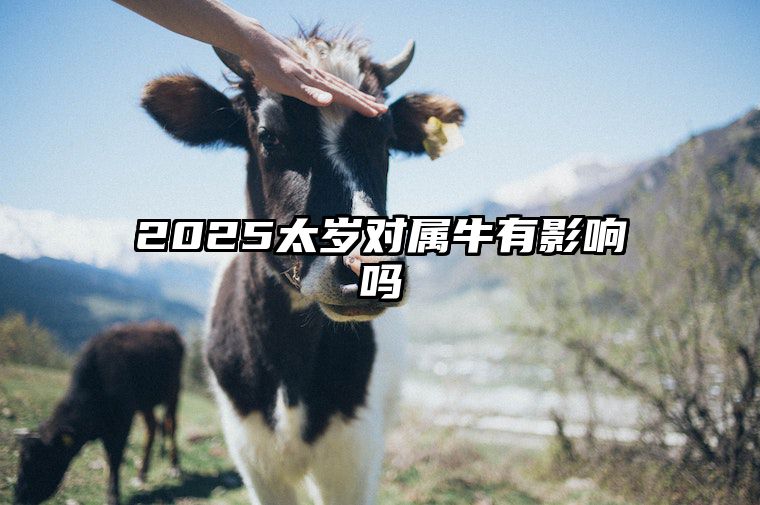 2025太岁对属牛有影响吗？