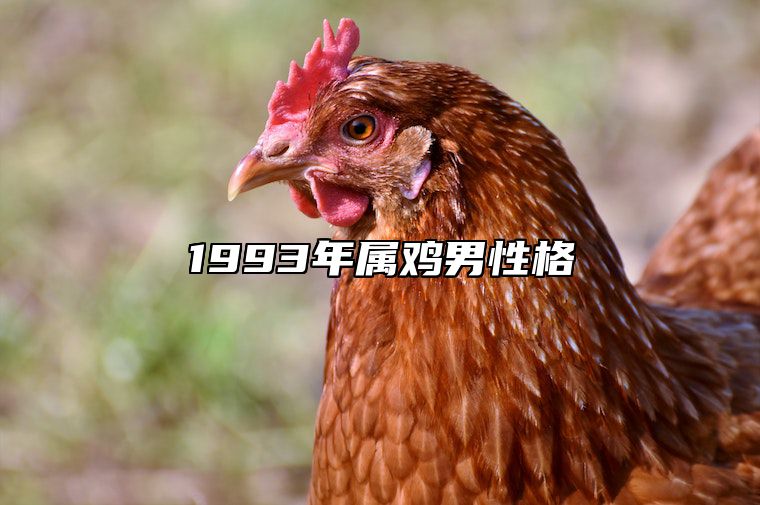 1993年属鸡男性格 1993年属鸡男性格人品