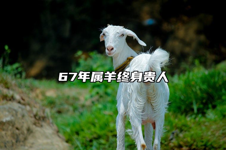 67年属羊终身贵人 67年羊女晚年靠谁