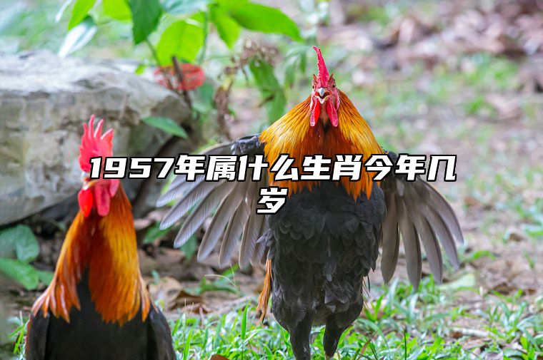1957年属什么生肖今年几岁 1957年属啥生肖