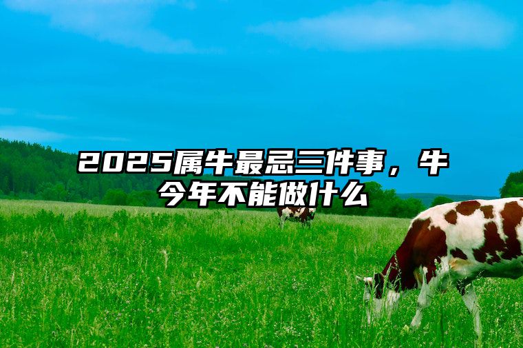 2025属牛最忌三件事，牛今年不能做什么 属牛人2025