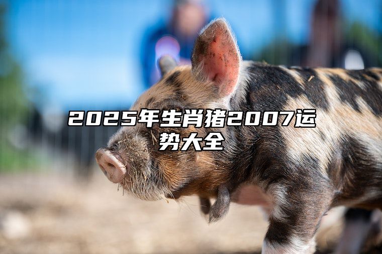 2025年生肖猪2007运势大全 2025年猪人命运