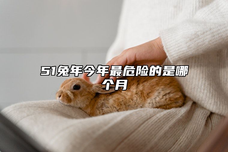 51兔年今年最危险的是哪个月 51年属兔的劫难年