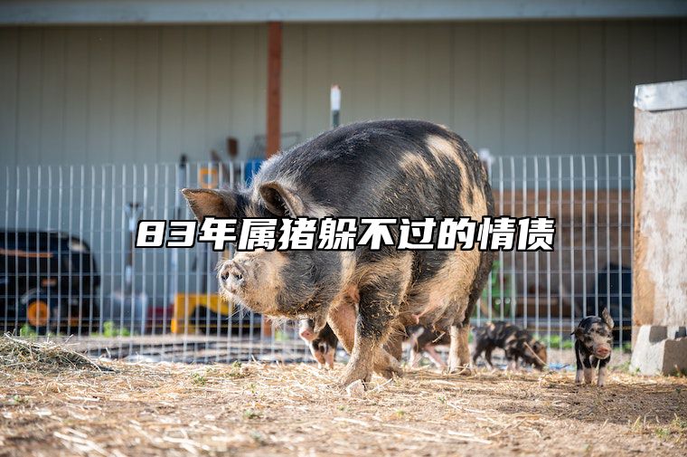 83年属猪躲不过的情债 83年猪一生有几个儿子