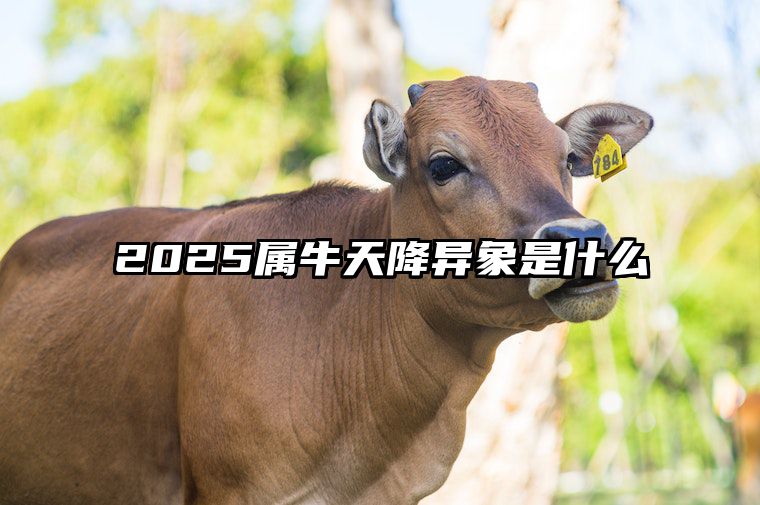 2025属牛天降异象是什么