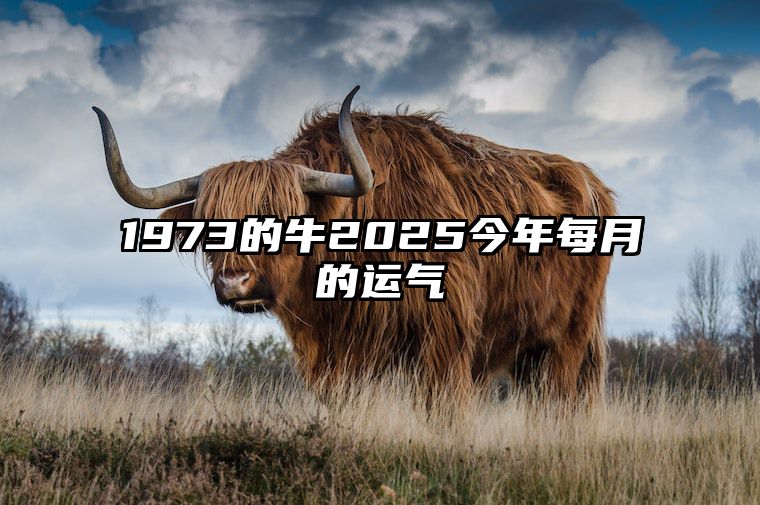 1973的牛2025今年每月的运气