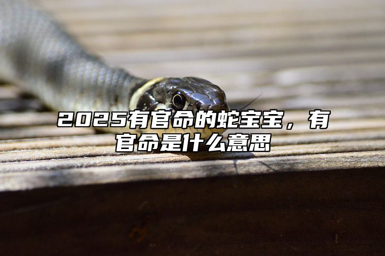 2025有官命的蛇宝宝，有官命是什么意思 