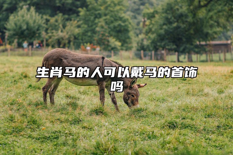 生肖马的人可以戴马的首饰吗 属马的能戴马生肖吊坠吗