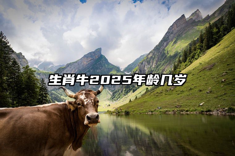 生肖牛2025年龄几岁 85年属牛2025年运势及运程