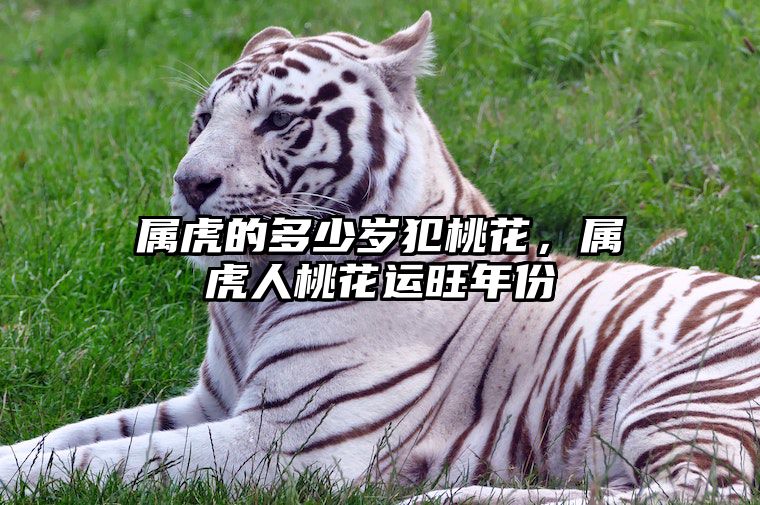 属虎的多少岁犯桃花，属虎人桃花运旺年份 属虎的人哪几年犯太岁