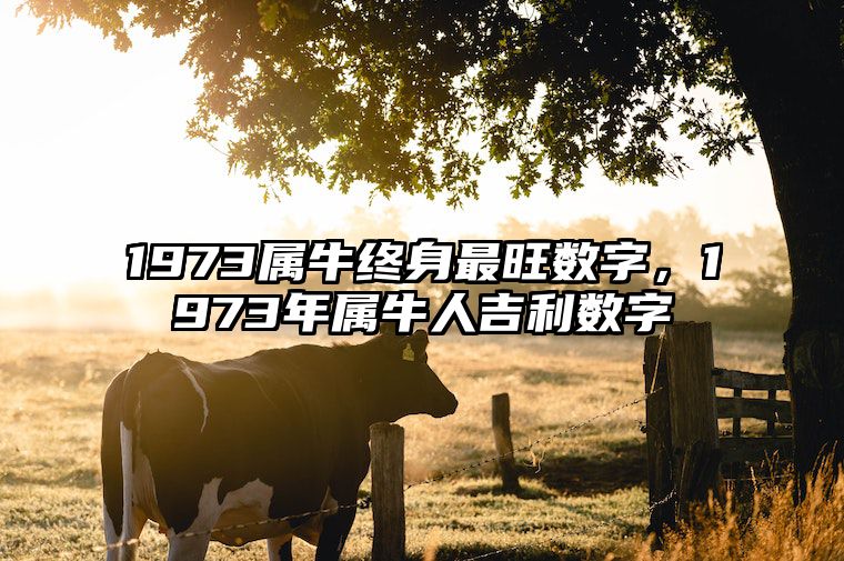1973属牛终身最旺数字，1973年属牛人吉利数字 1973年属牛吉祥数字几最好