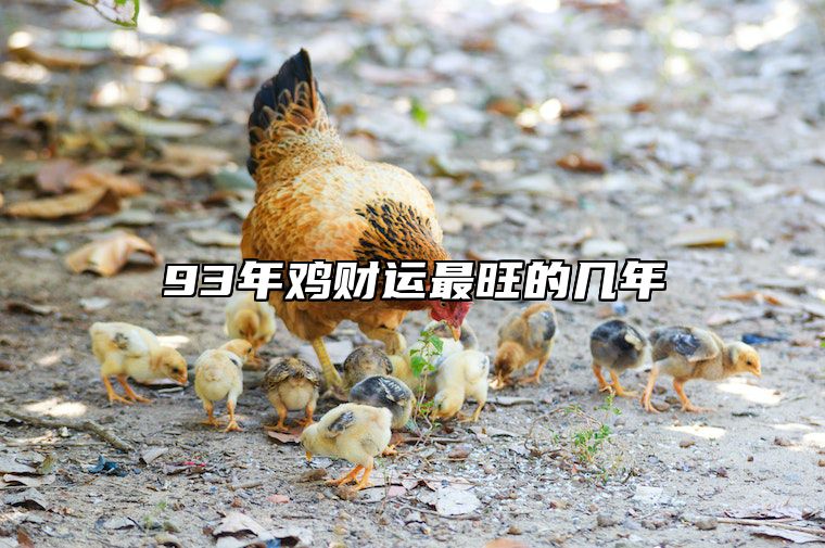 93年鸡财运最旺的几年 93年鸡命里有几个儿子