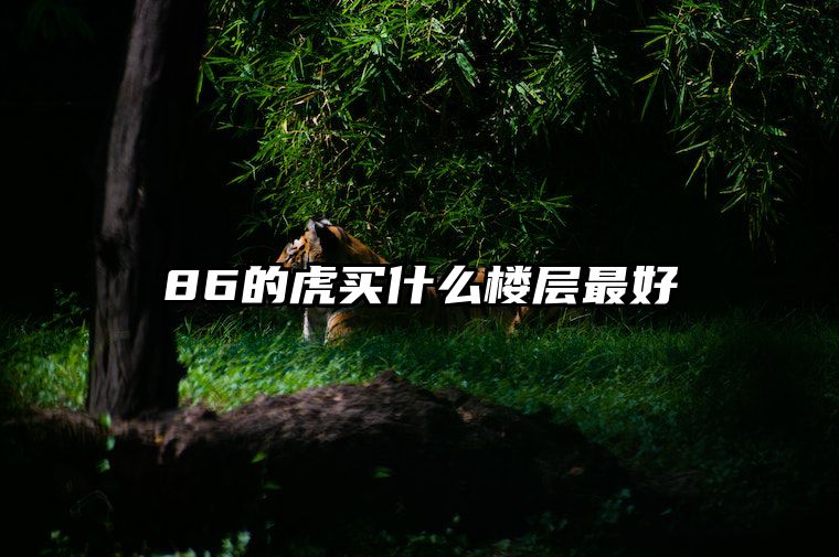 86的虎买什么楼层最好 86年虎住几楼是最旺的
