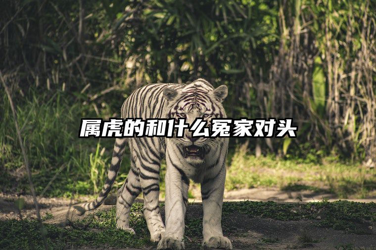 属虎的和什么冤家对头 属虎跟什么属相犯冲怎么化解