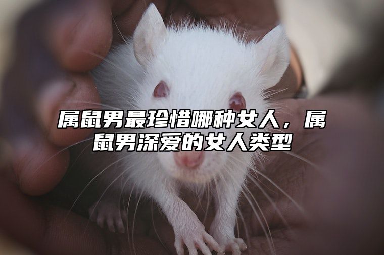 属鼠男最珍惜哪种女人，属鼠男深爱的女人类型 属鼠男爱一个女人的表现