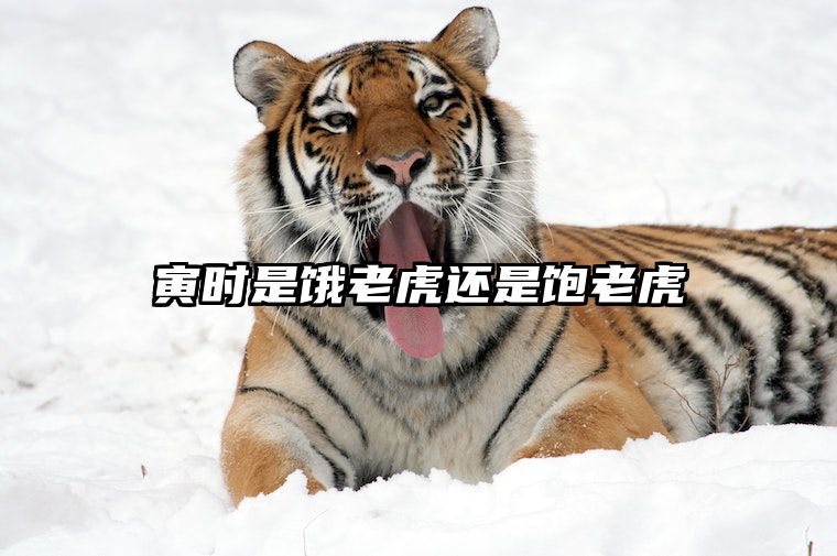 寅时是饿老虎还是饱老虎 寅时几点几分最好