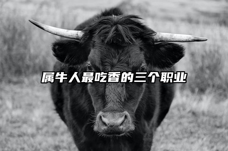 属牛人最吃香的三个职业 属牛的职业哪样好