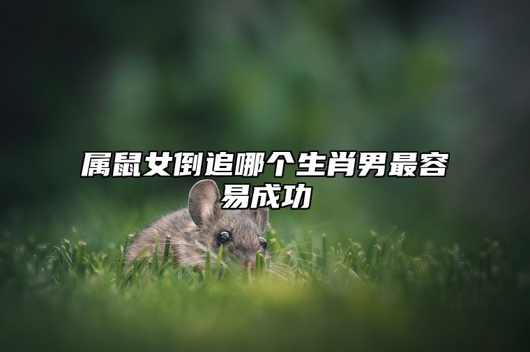 属鼠女倒追哪个生肖男最容易成功 属鼠女生容易爱上生肖男