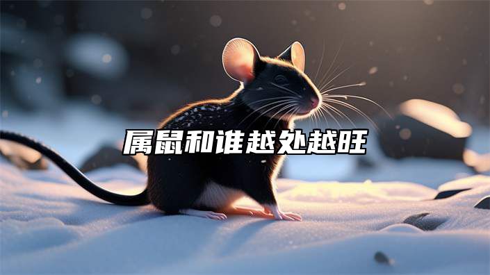 属鼠和谁越处越旺 属鼠的人跟属什么的人最合