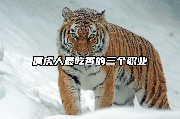 属虎人最吃香的三个职业 属虎人做什么职业最好
