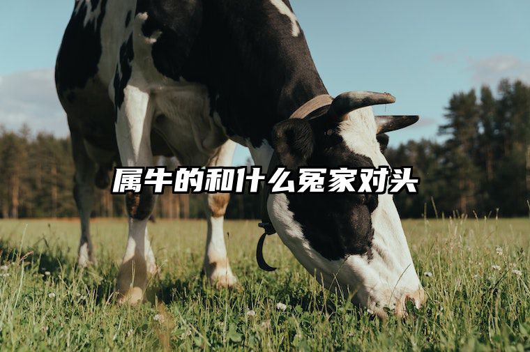 属牛的和什么冤家对头 属牛的跟哪个属相犯冲
