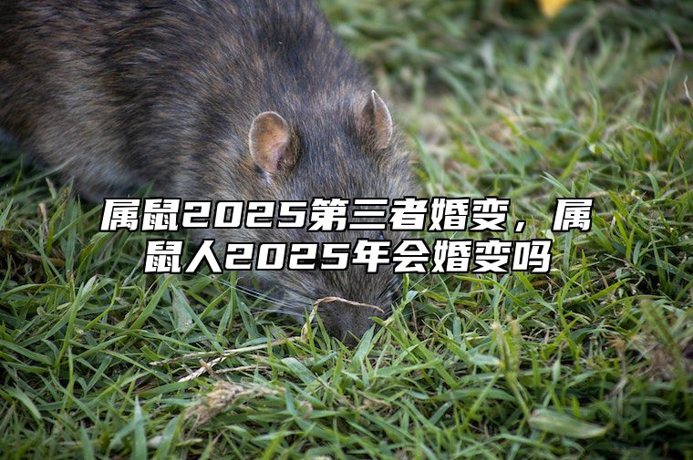 属鼠2025第三者婚变，属鼠人2025年会婚变吗 属鼠的2025年财运各方面怎么样?