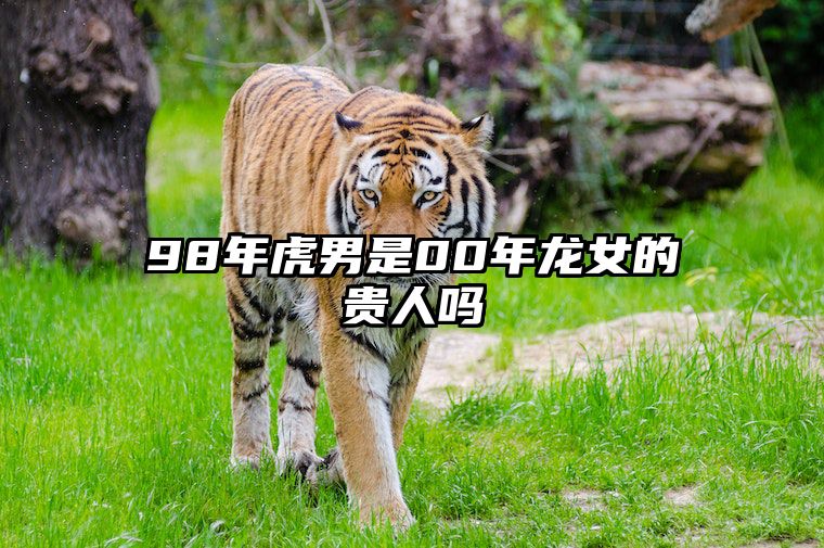 98年虎男是00年龙女的贵人吗 男虎女龙结婚的下场