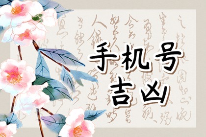 11710的号码吉凶测试结果