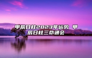 甲辰日柱2023年运势 甲辰日柱三命通会