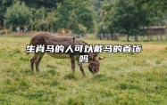 生肖马的人可以戴马的首饰吗 属马的能戴马生肖吊坠吗