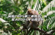 属猴2025第三者婚变，属猴人2025年会婚变吗 属猴的2025年多少岁