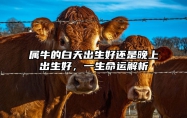 属牛的白天出生好还是晚上出生好，一生命运解析 生肖牛白天出生好还是晚上出生好