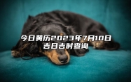 今日黄历2023年7月10日吉日吉时查询,老黄历宜忌