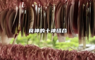 食神的十神组合 