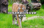 98年虎男是00年龙女的贵人吗 男虎女龙结婚的下场