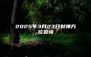 2025年3月23日财神方位查询 适合吗？