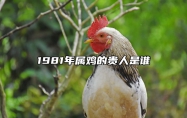 1981年属鸡的贵人是谁 1981年属鸡的贵人是谁能帮助他