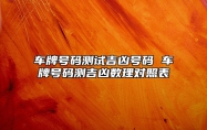 车牌号码测试吉凶号码 车牌号码测吉凶数理对照表