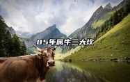 85年属牛三大坎 85年属牛男命运如何