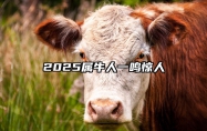 2025属牛人一鸣惊人 属牛的人2025年的命运