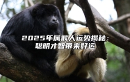 2025年属猴人运势揭秘：聪明才智带来好运 2025年属猴人的流年运势