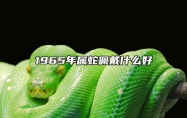 1965年属蛇佩戴什么好 65蛇女最旺颜色