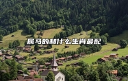 属马的和什么生肖最配 与属羊人最为合适