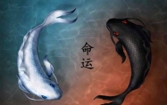 二两七钱男 二两七钱男命详解